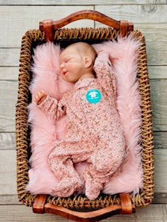 Reborn Baby Girl - 4.2 lbs |Ready to Go Home