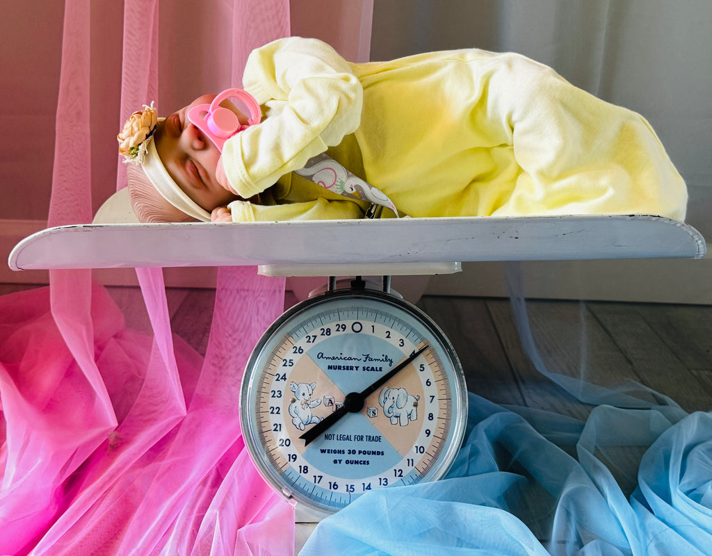 Reborn Baby Girl - 4.2 lbs |Ready to Go Home
